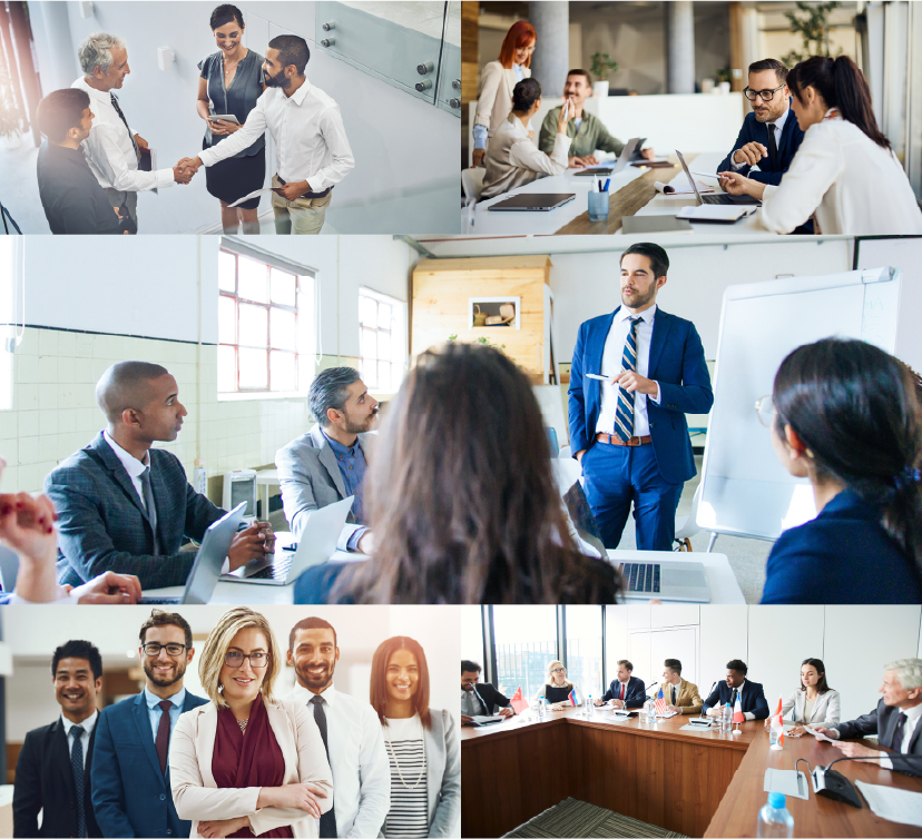 Hands holding fresh vegetables